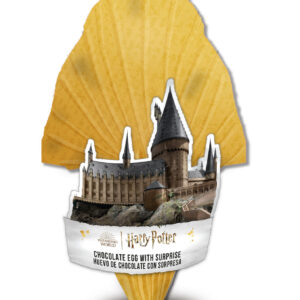 C30 OEUF FLAMME + SURPRISE HARRY POTTER 165G